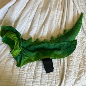 Dog Green Dragon Lizard costume